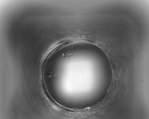 X0000064730005200602131302