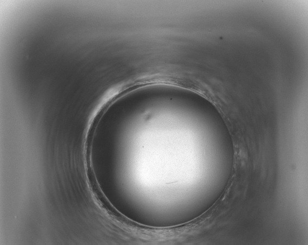 X0000064730006200602131302