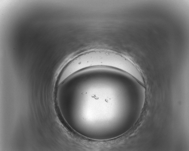 X0000064730007200602131302