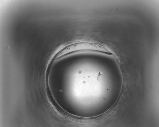 X0000064730008200602131302