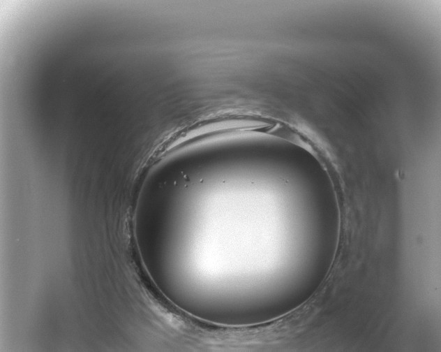 X0000064730009200602131302