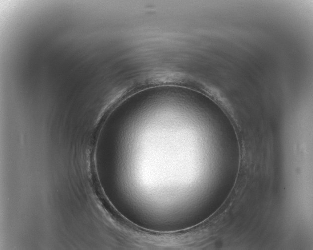 X0000064730010200602131302