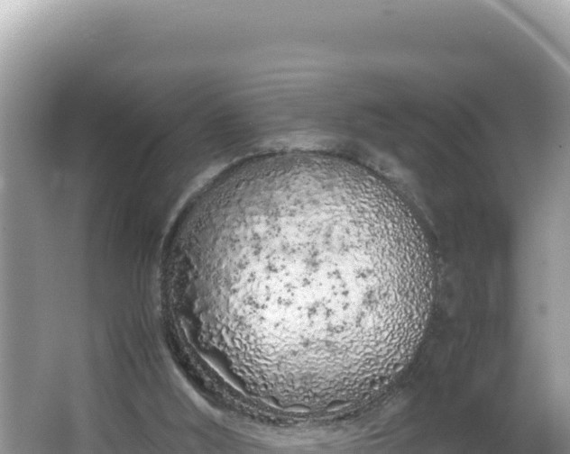 X0000064730012200602131302