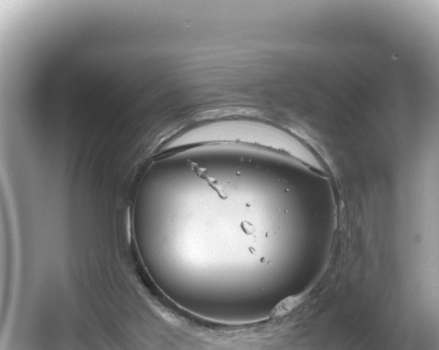 X0000064730013200602131302