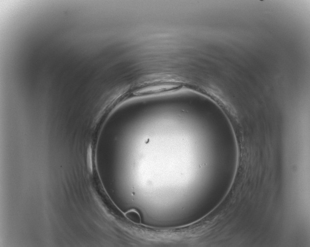 X0000064730014200602131302