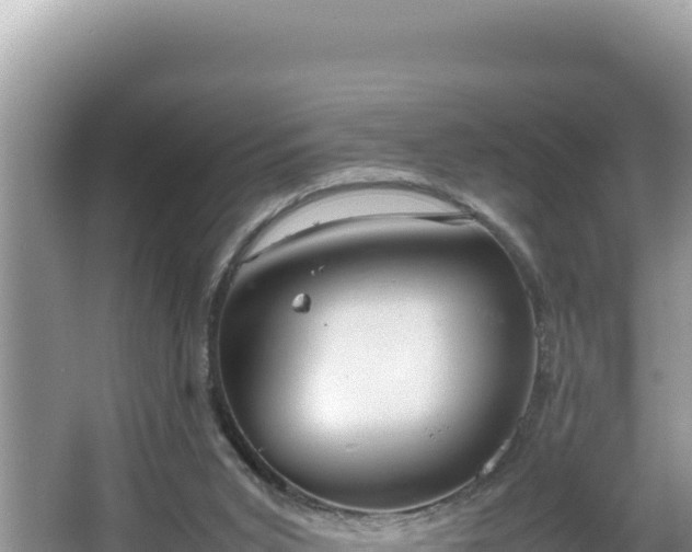 X0000064730015200602131302