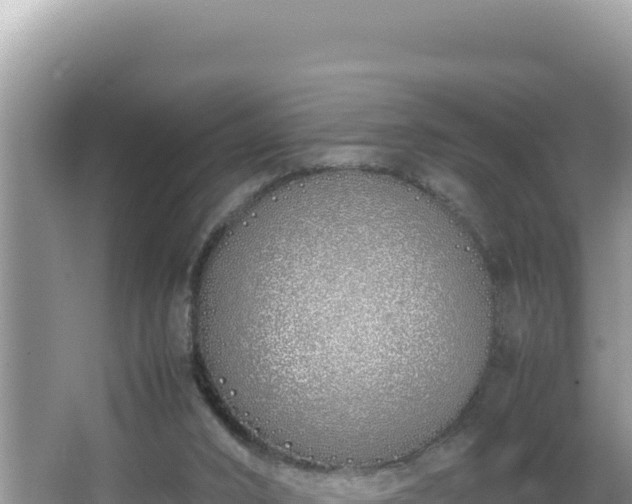 X0000064730016200602131302