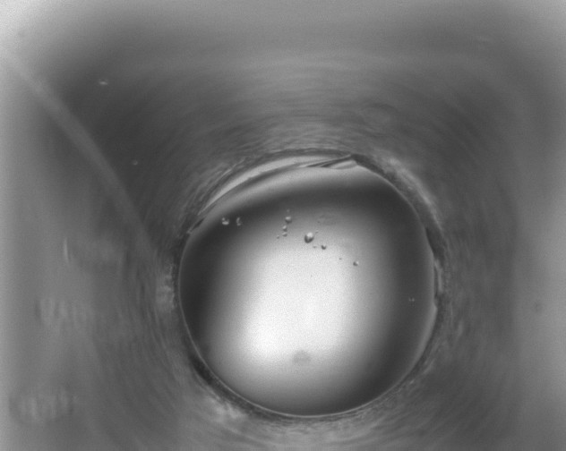 X0000064730017200602131302