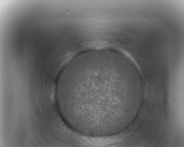 X0000064730018200602131302