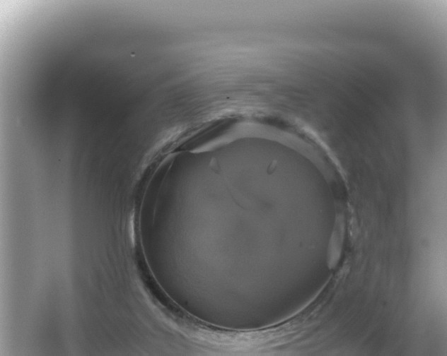 X0000064730019200602131302