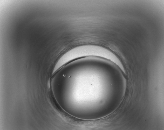 X0000064730021200602131302