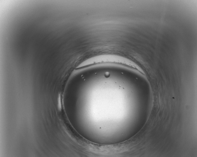 X0000064730022200602131302