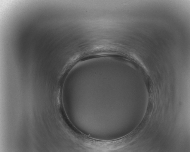 X0000064730023200602131302