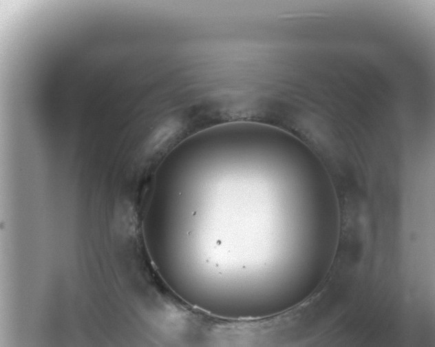 X0000064730025200602131302