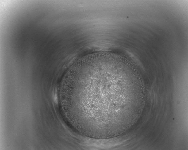 X0000064730026200602131302