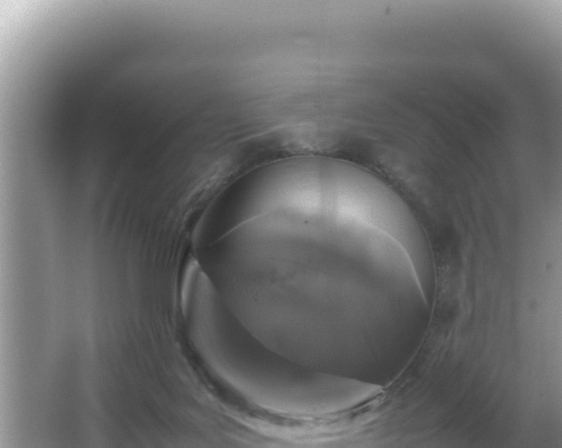 X0000064730027200602131302