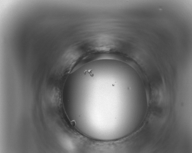 X0000064730029200602131302