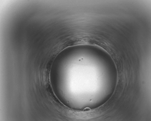 X0000064730030200602131302