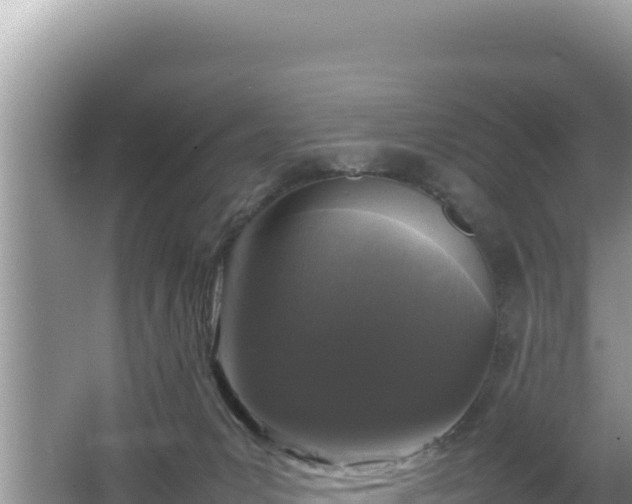 X0000064730031200602131302