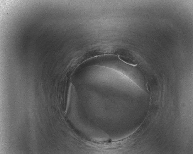 X0000064730035200602131302