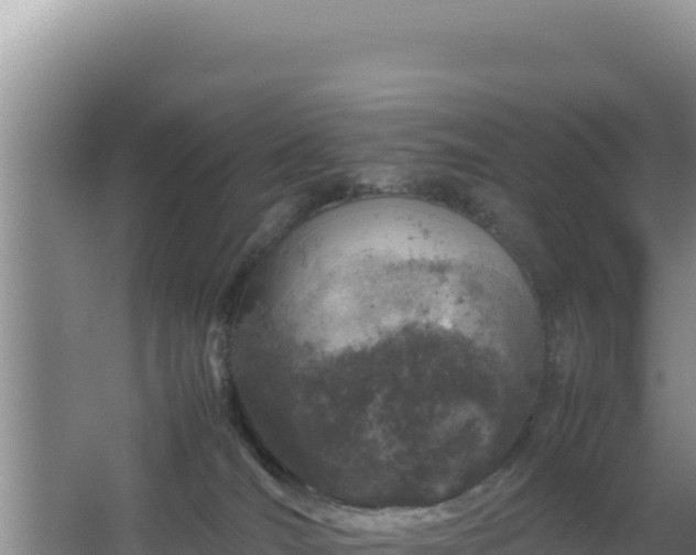 X0000064730036200602131302