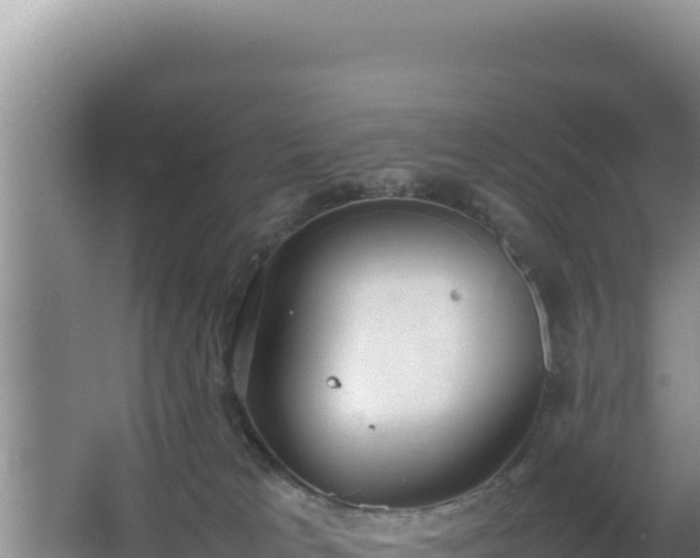 X0000064730037200602131302