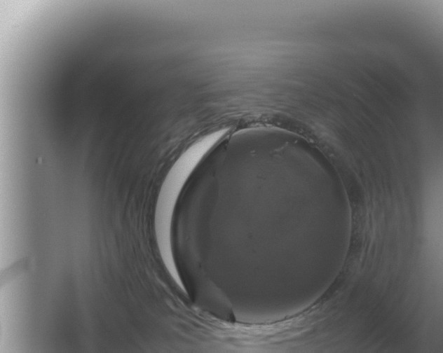 X0000064730039200602131301