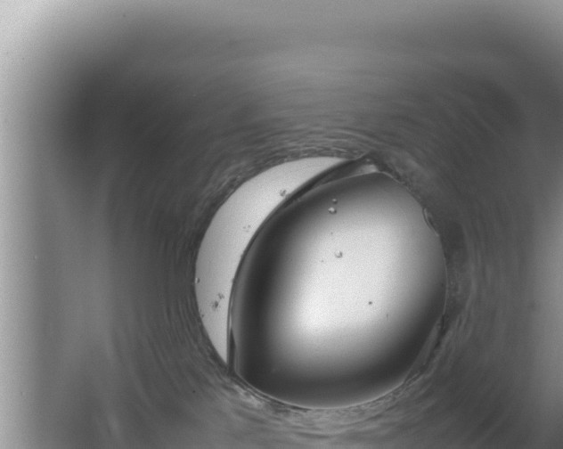 X0000064730041200602131301