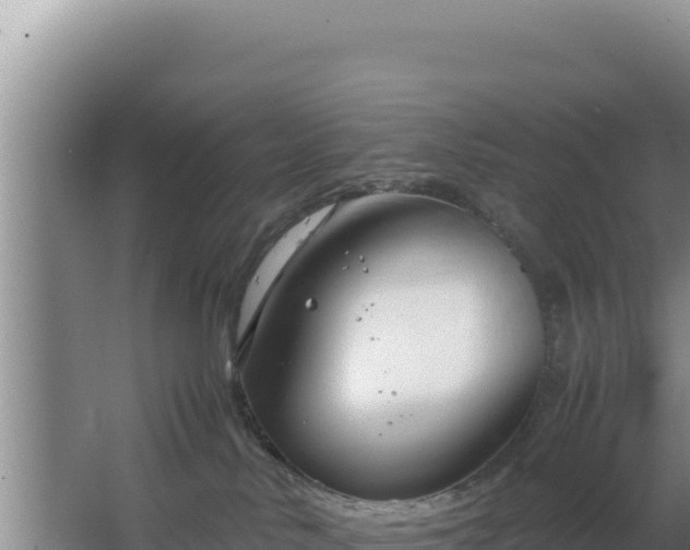 X0000064730042200602131301