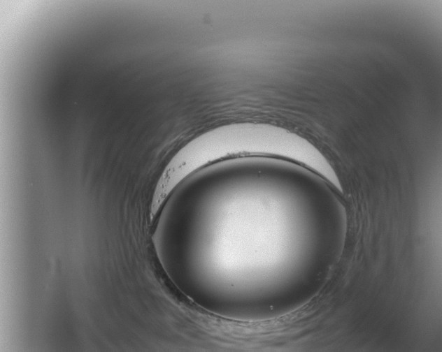 X0000064730043200602131301