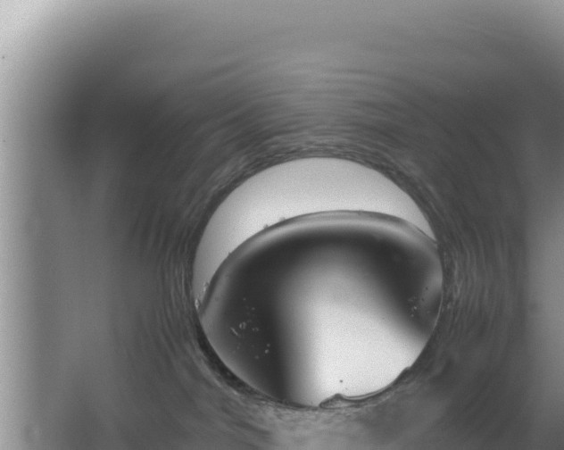 X0000064730044200602131301