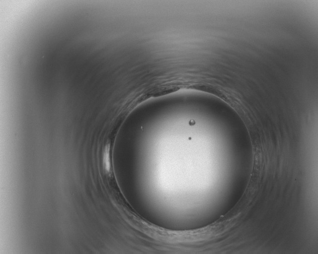 X0000064730046200602131301