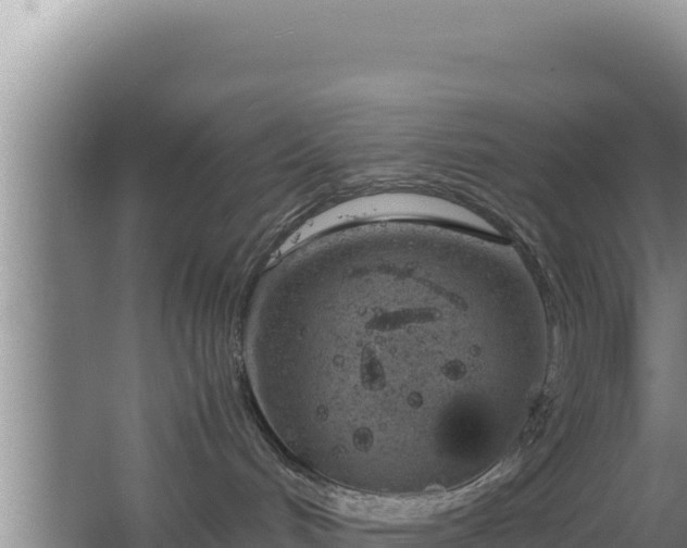 X0000064730048200602131301