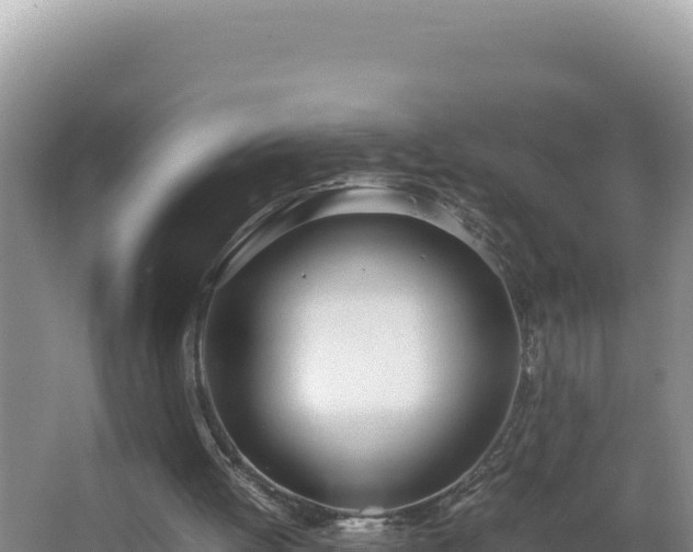 X0000064730052200602131301