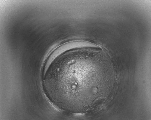 X0000064730053200602131301