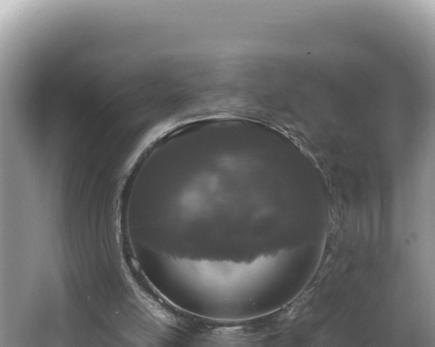 X0000064730054200602131301