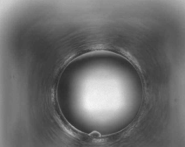 X0000064730057200602131301