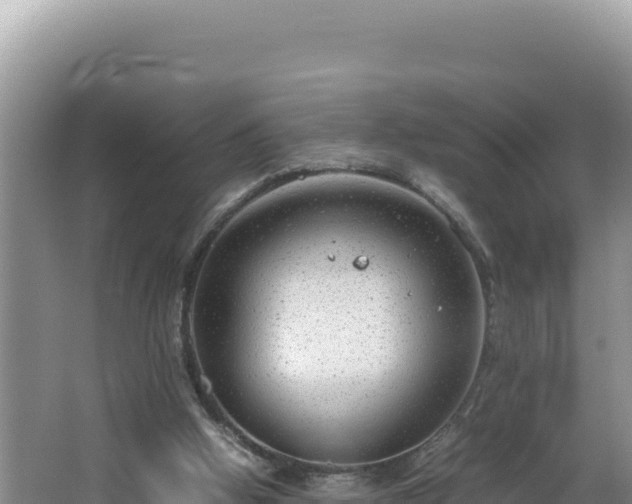 X0000064730058200602131301