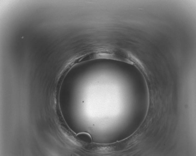 X0000064730059200602131301