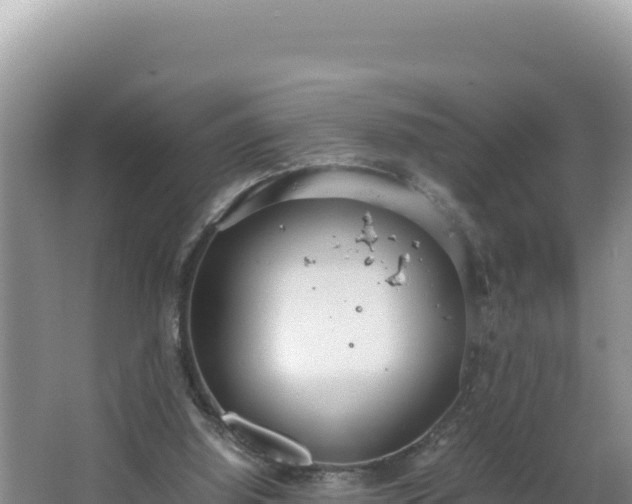 X0000064730060200602131301