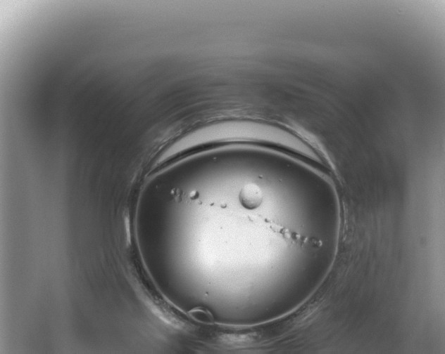 X0000064730061200602131301