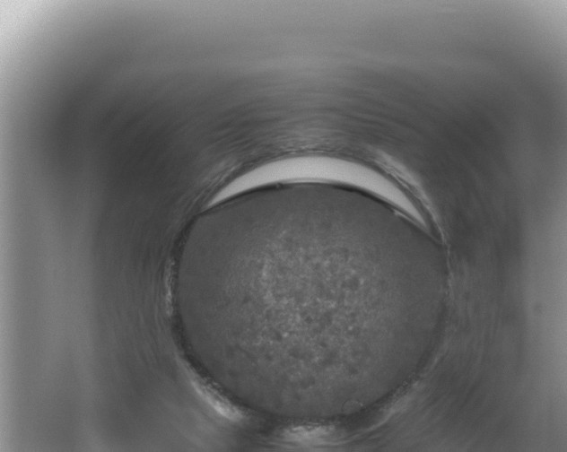 X0000064730065200602131301