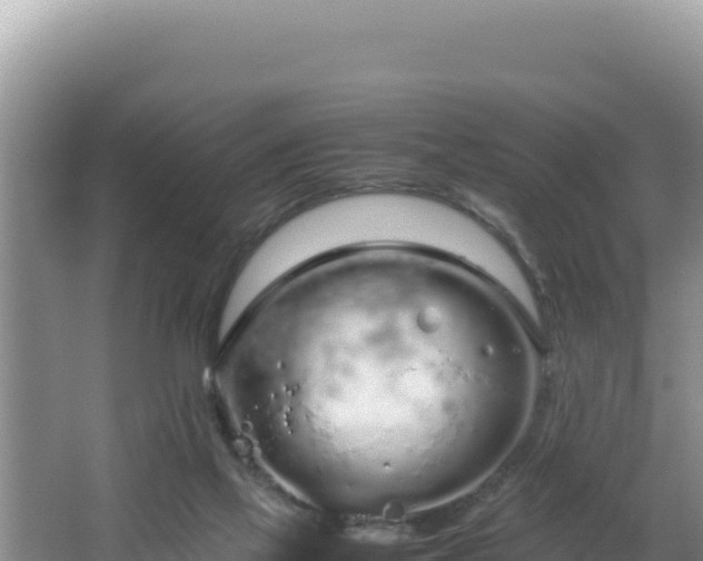 X0000064730069200602131301