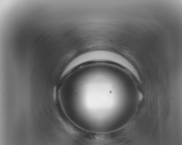 X0000064730070200602131301