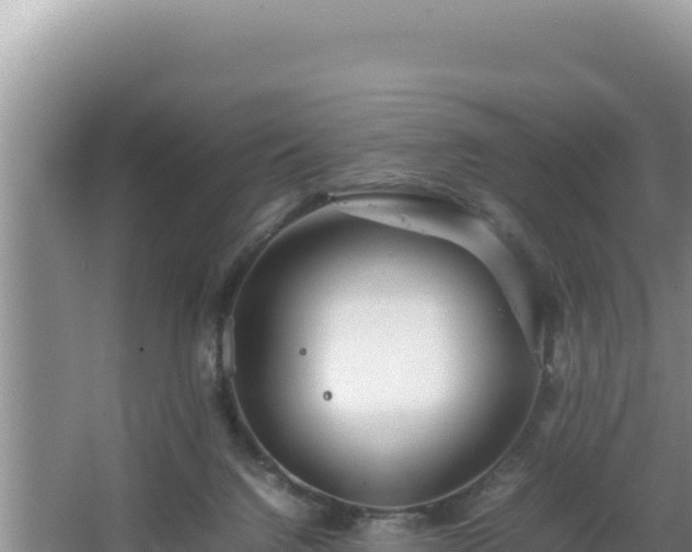 X0000064730072200602131301