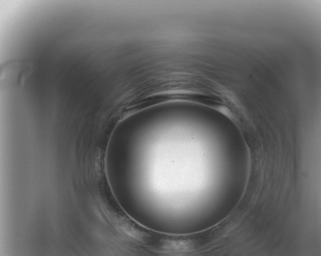 X0000064730073200602131301