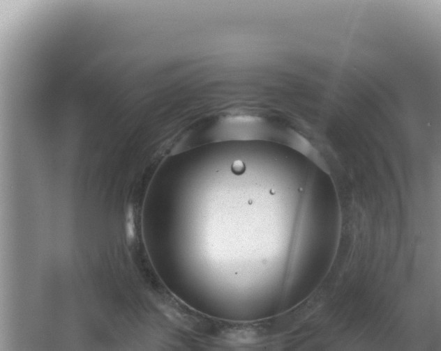 X0000064730075200602131301