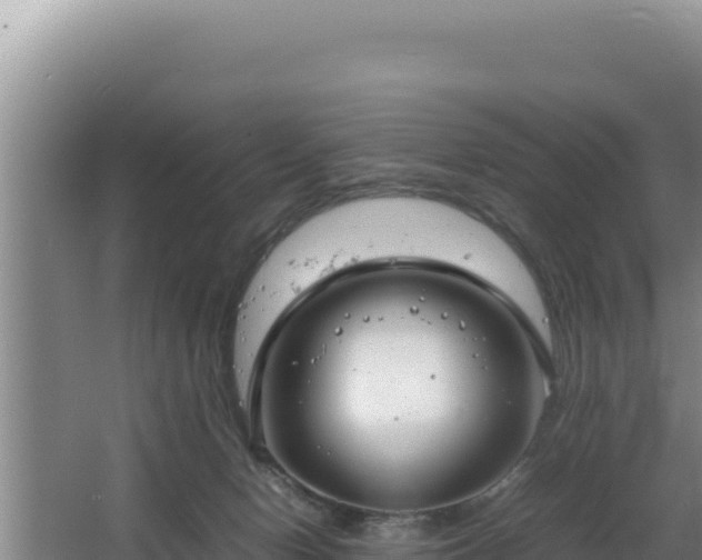 X0000064730078200602131301