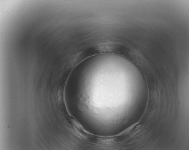 X0000064730081200602131301