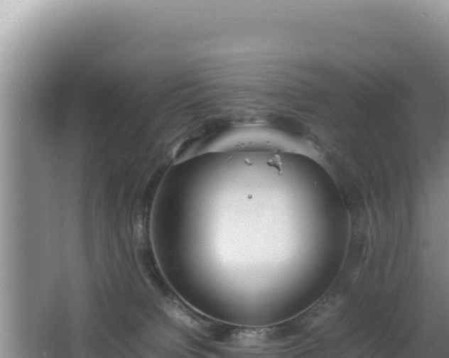 X0000064730084200602131301